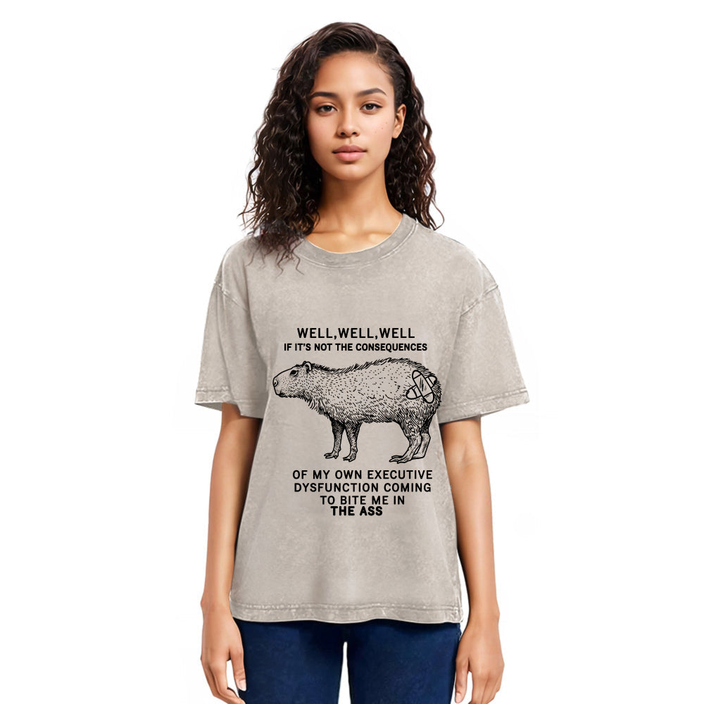 Tokyosol Stupid Capybara Washed T-Shirt