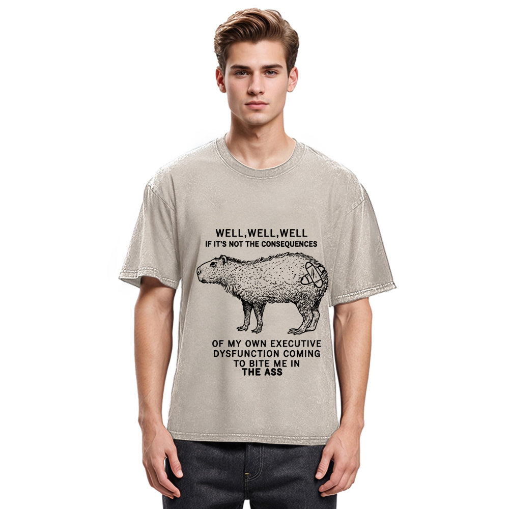 Tokyosol Stupid Capybara Washed T-Shirt