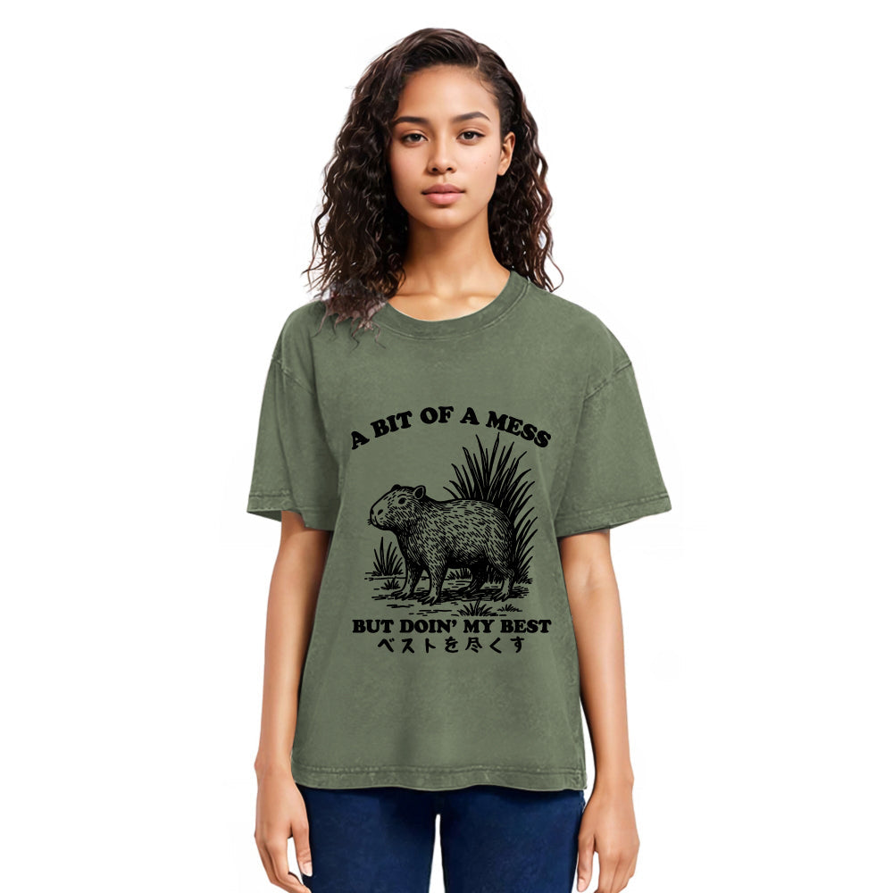 Tokyosol Capybara Doing Its Best Washed T-Shirt