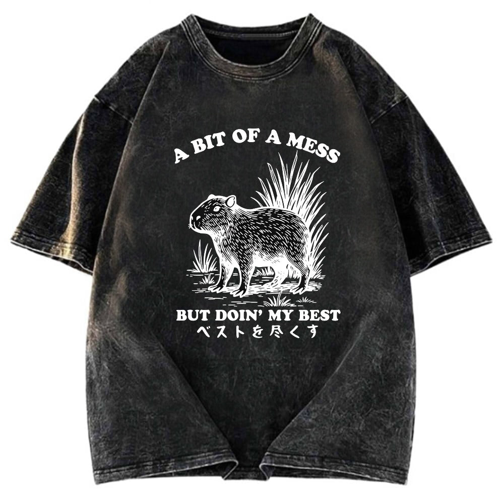Tokyosol Capybara Doing Its Best Washed T-Shirt