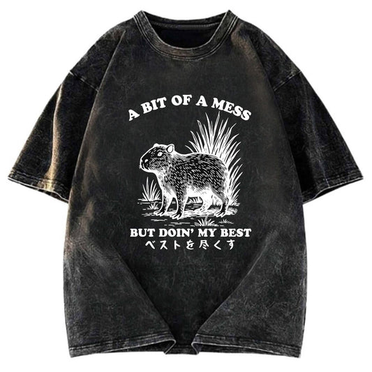 Tokyosol Capybara Doing Its Best Washed T-Shirt