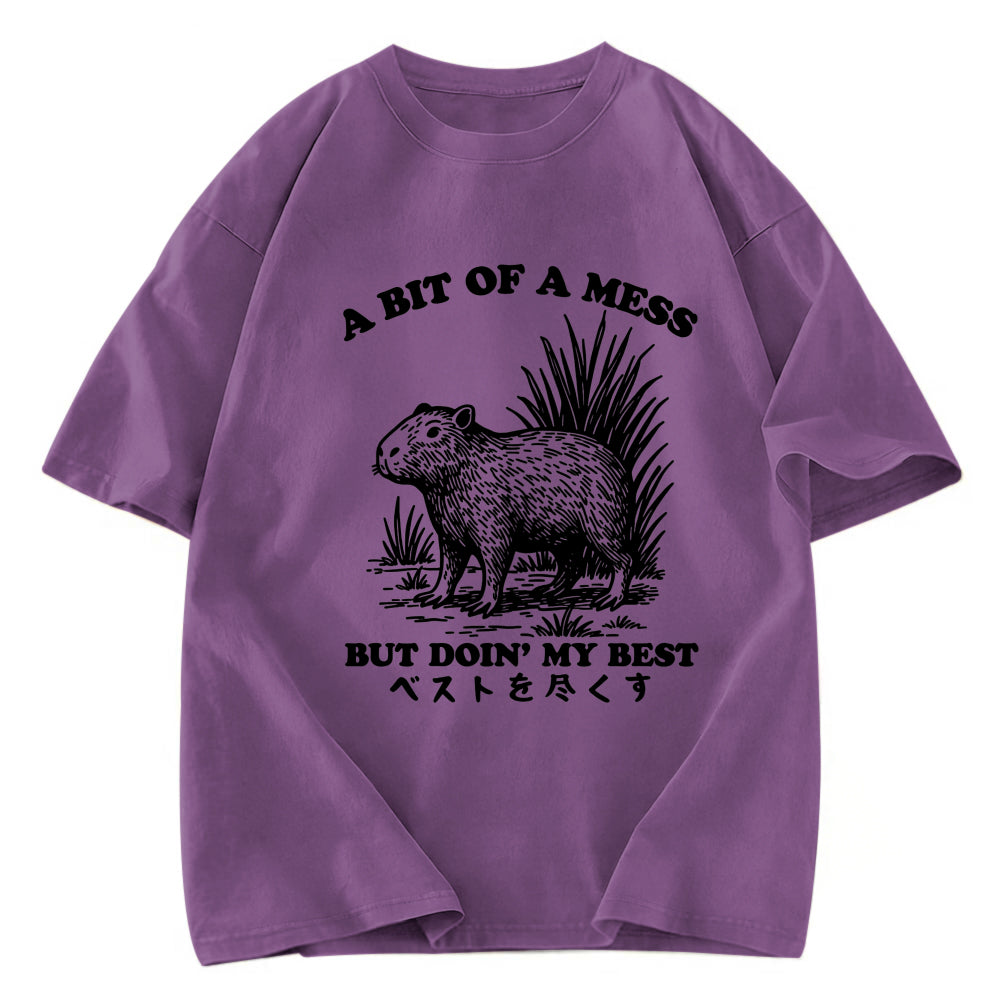 Tokyosol Capybara Doing Its Best Washed T-Shirt