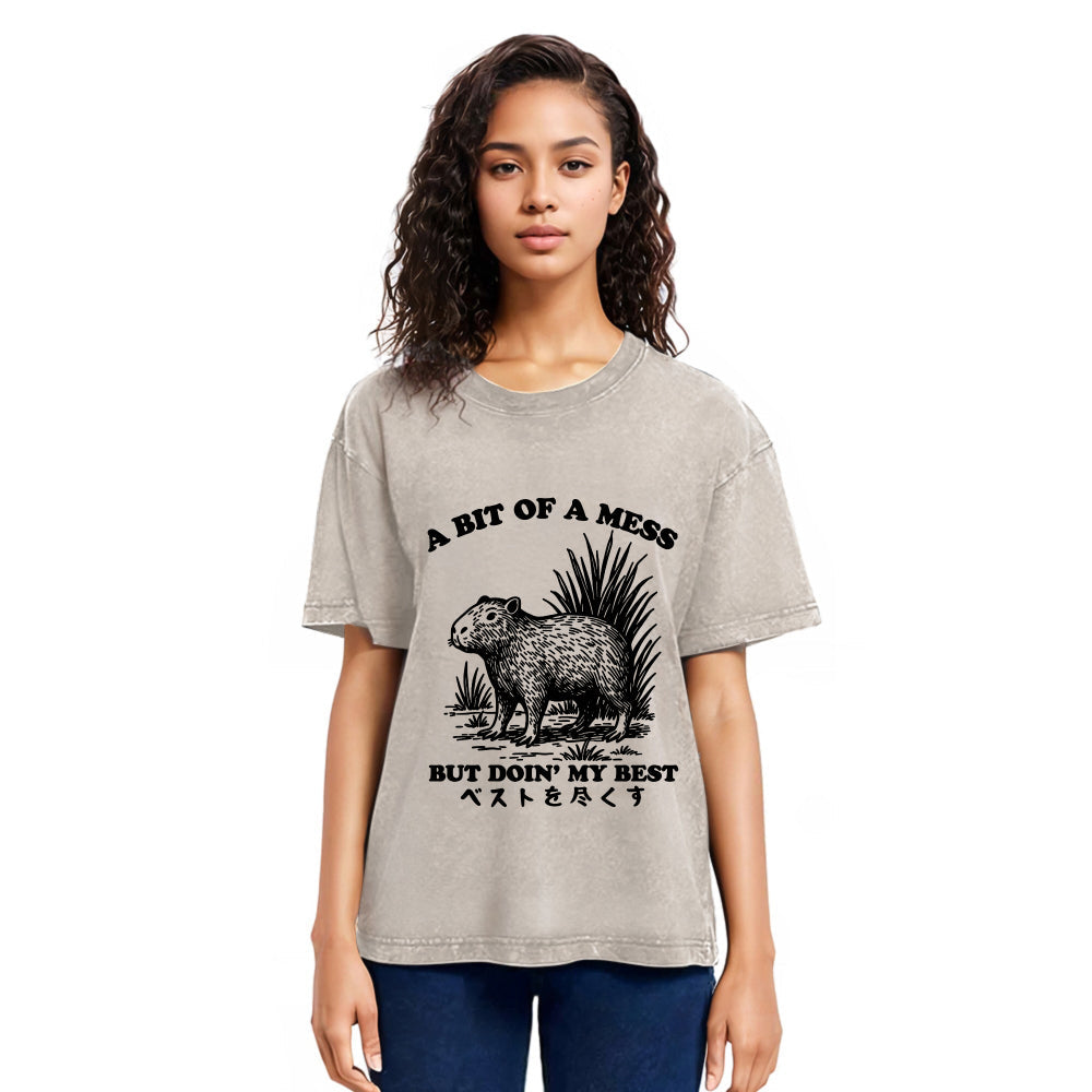Tokyosol Capybara Doing Its Best Washed T-Shirt
