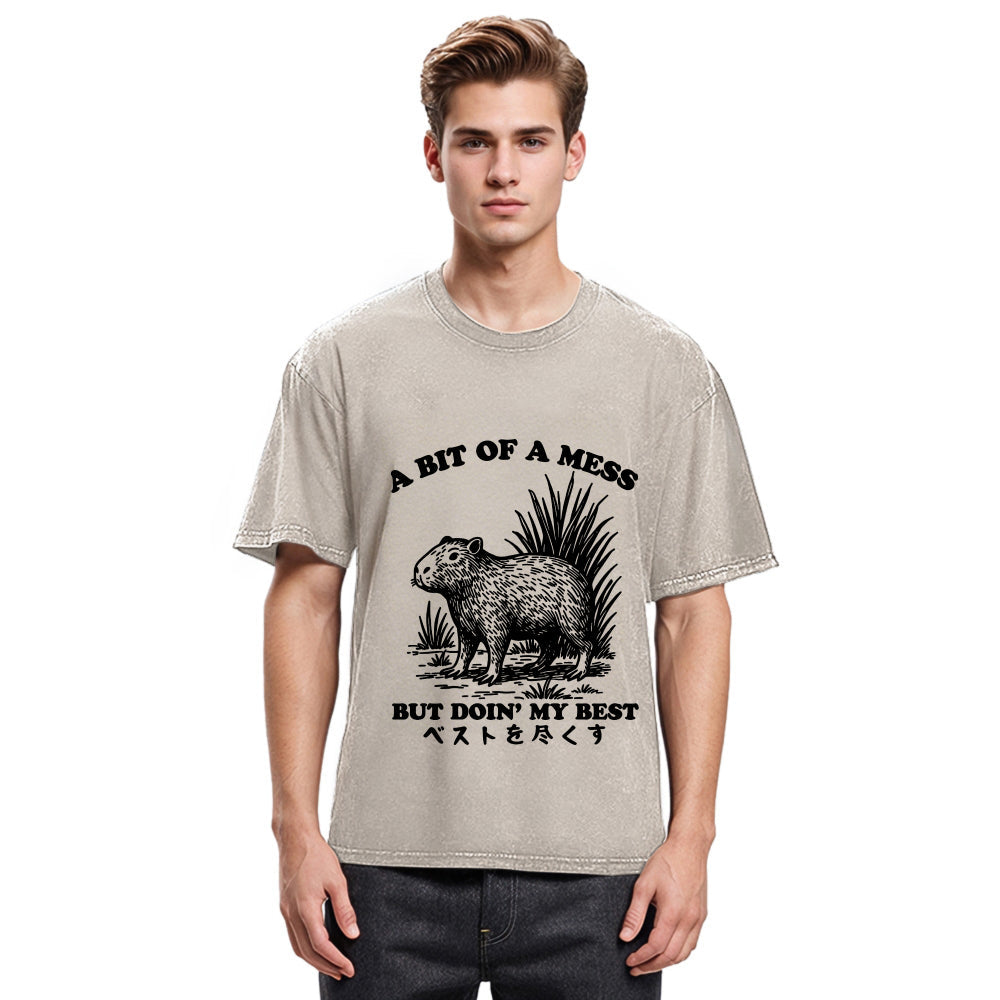 Tokyosol Capybara Doing Its Best Washed T-Shirt