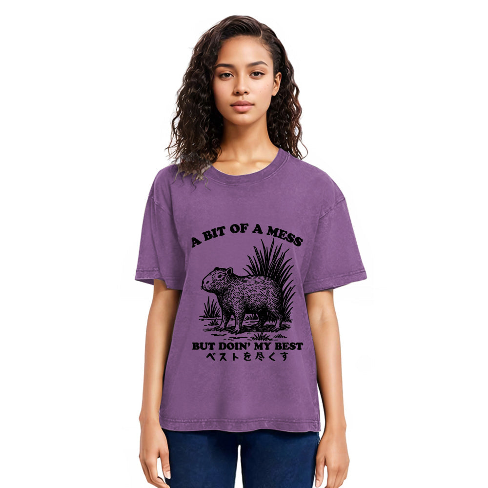 Tokyosol Capybara Doing Its Best Washed T-Shirt