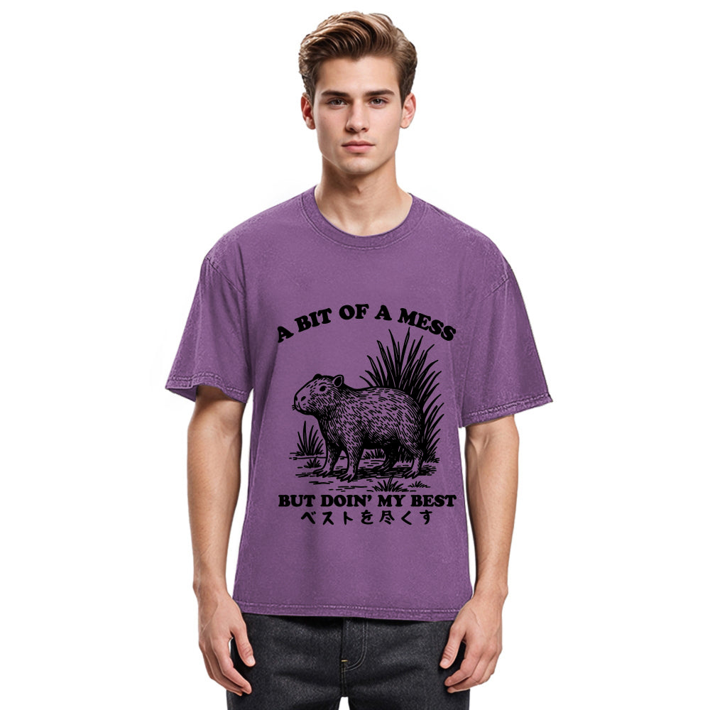 Tokyosol Capybara Doing Its Best Washed T-Shirt