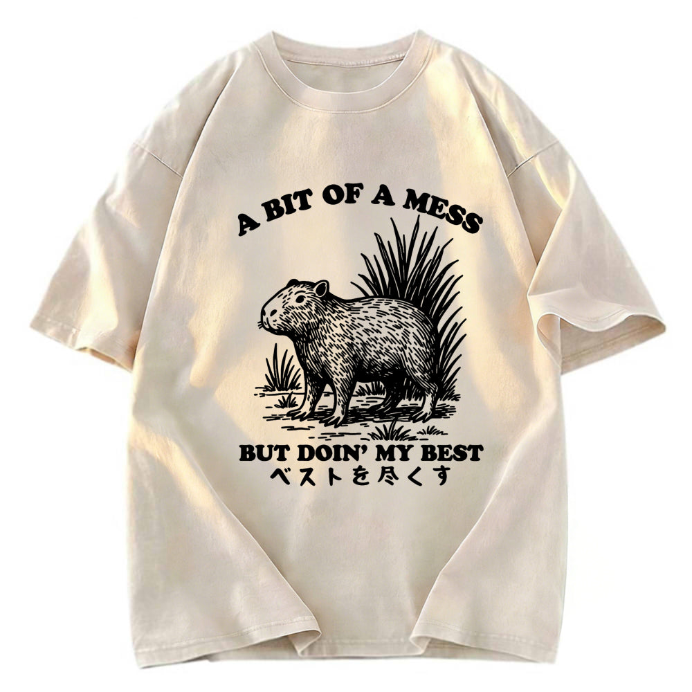 Tokyosol Capybara Doing Its Best Washed T-Shirt