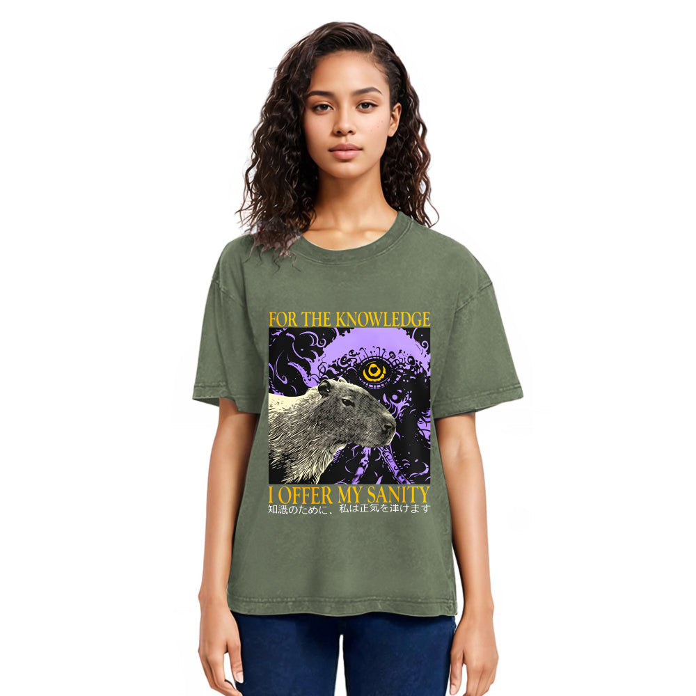 Tokyosol I Offer My Sanity Vintage Japanese Capybara Washed T-Shirt