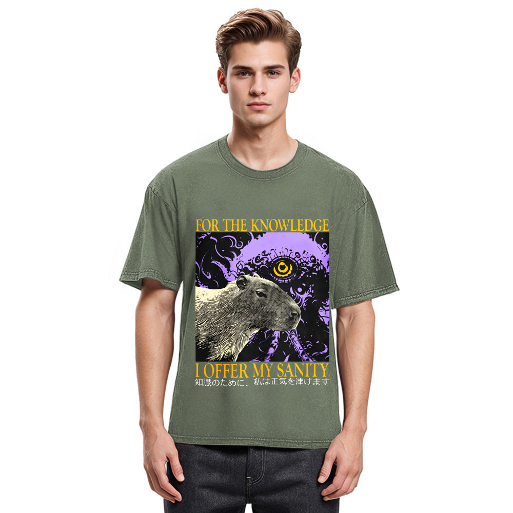 Tokyosol I Offer My Sanity Vintage Japanese Capybara Washed T-Shirt