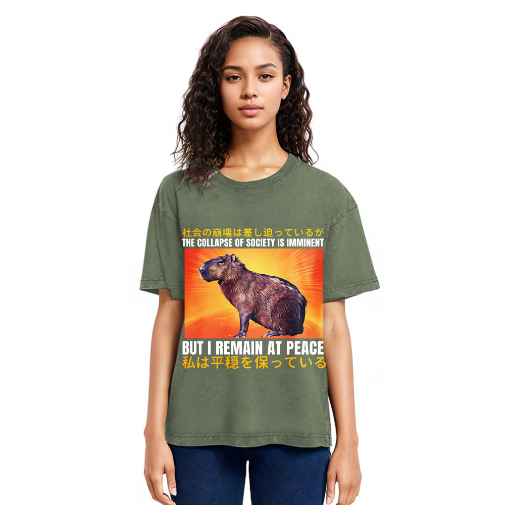 Tokyosol The Collapse of Society is Imminent Washed T-Shirt