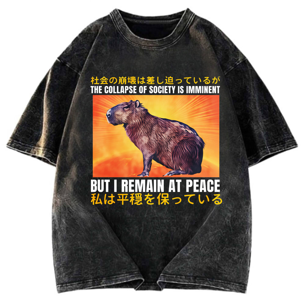 Tokyosol The Collapse of Society is Imminent Washed T-Shirt
