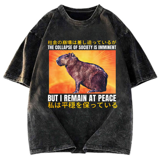 Tokyosol The Collapse of Society is Imminent Washed T-Shirt