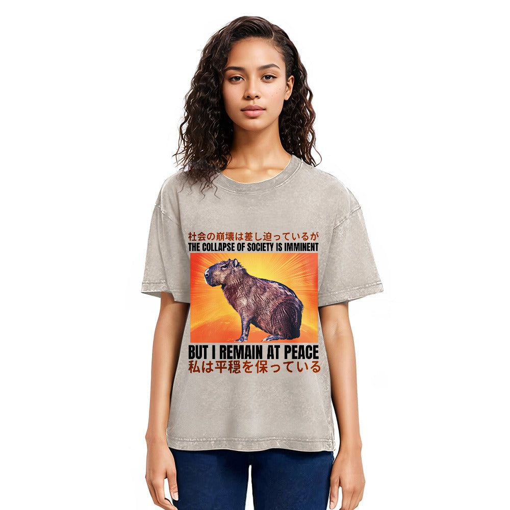 Tokyosol The Collapse of Society is Imminent Washed T-Shirt