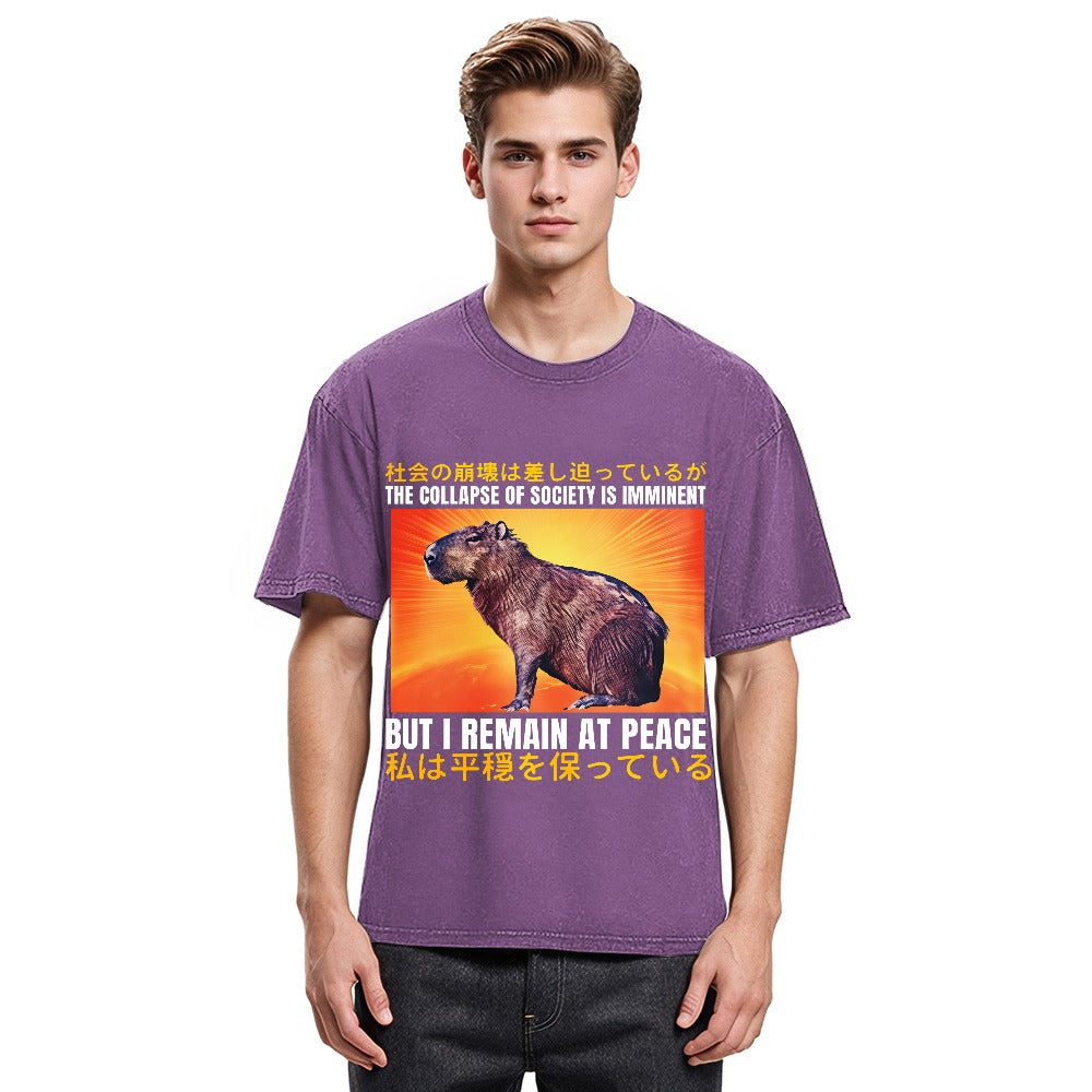 Tokyosol The Collapse of Society is Imminent Washed T-Shirt