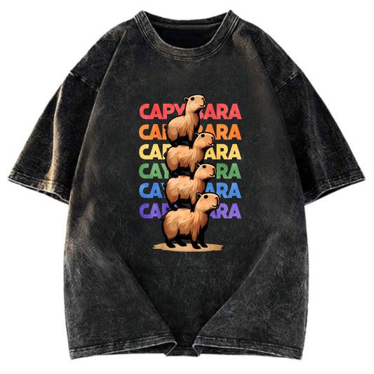 Tokyosol Funny Capybara Washed T-Shirt