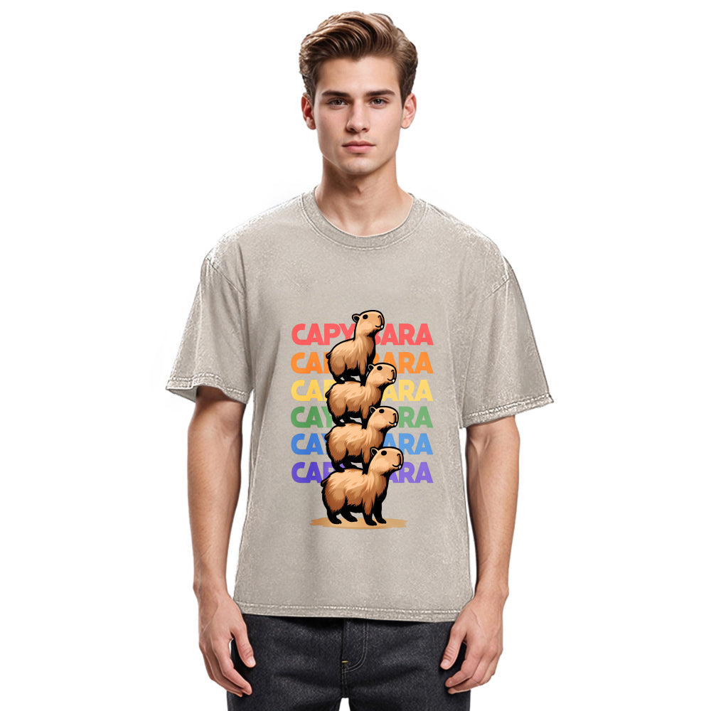 Tokyosol Funny Capybara Washed T-Shirt