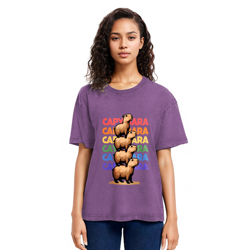 Tokyosol Funny Capybara Washed T-Shirt
