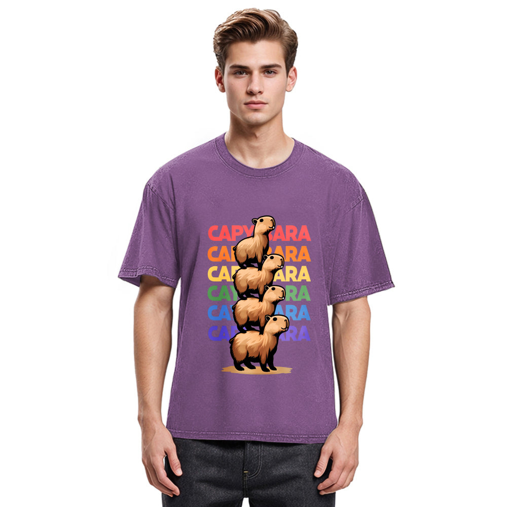 Tokyosol Funny Capybara Washed T-Shirt