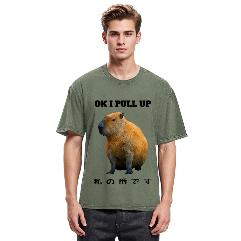 Tokyosol Ok I Pull Up Funny Capybara Washed T-Shirt