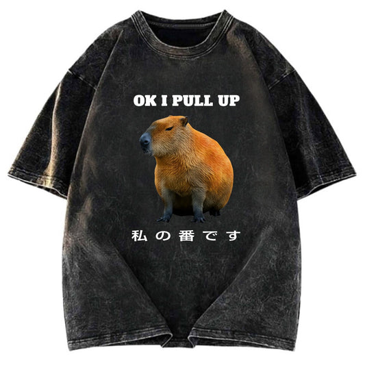 Tokyosol Ok I Pull Up Funny Capybara Washed T-Shirt