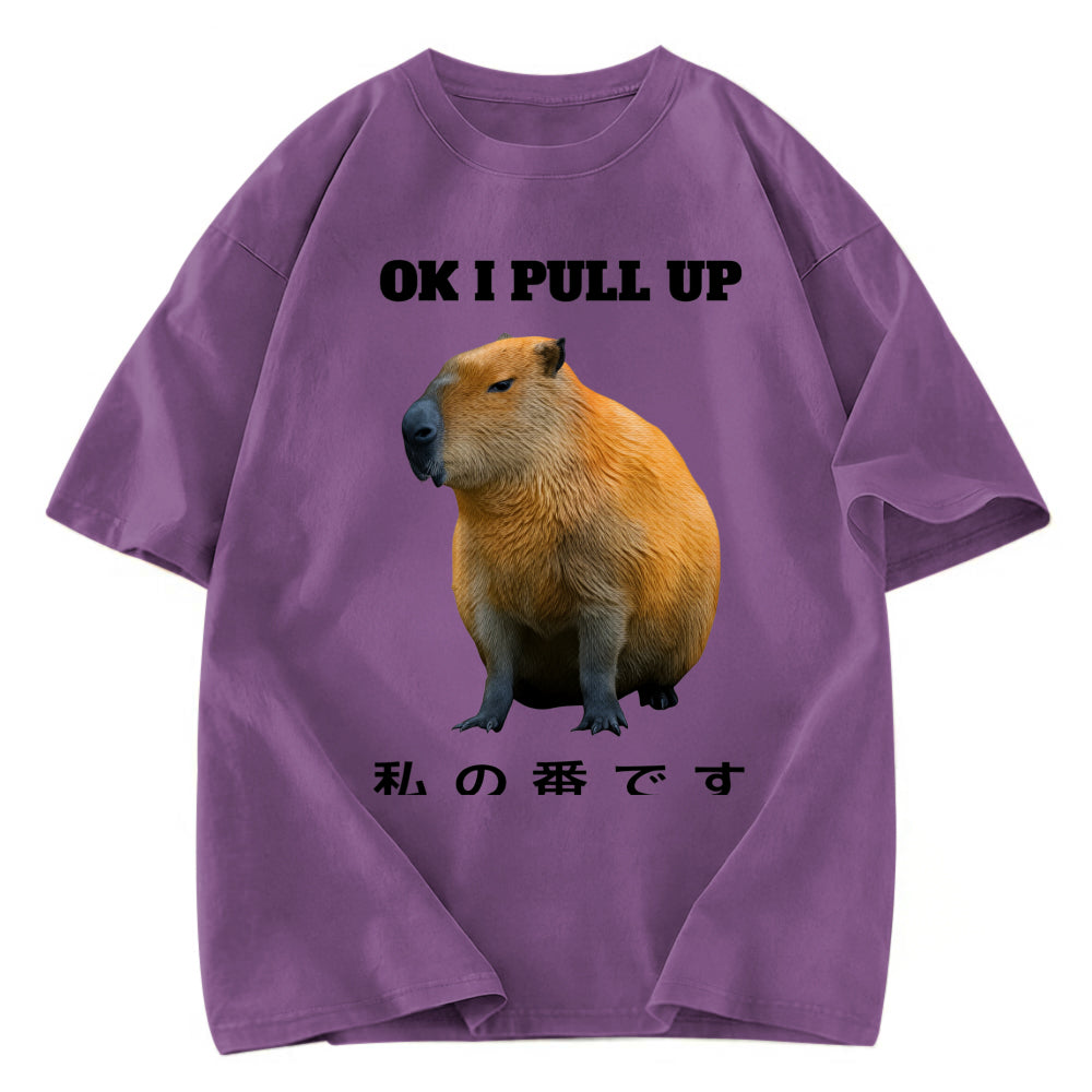Tokyosol Ok I Pull Up Funny Capybara Washed T-Shirt
