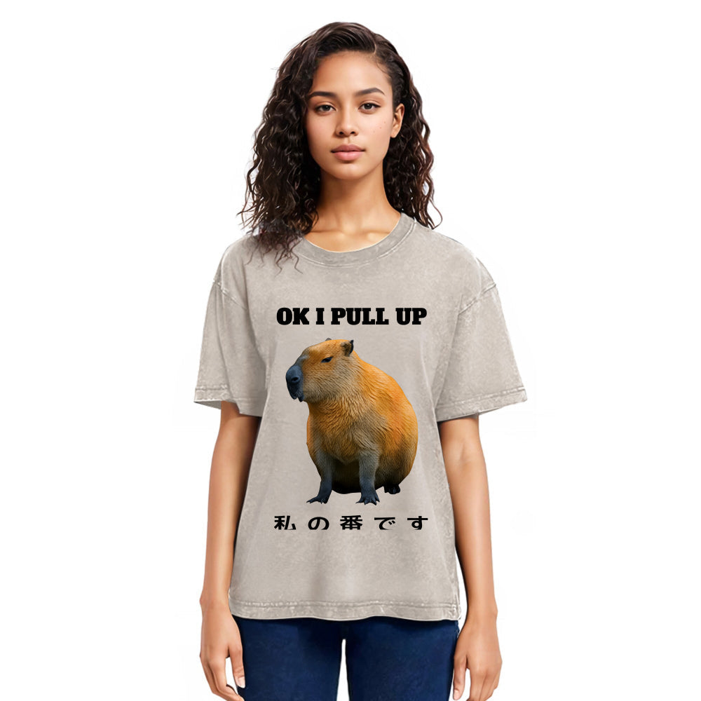 Tokyosol Ok I Pull Up Funny Capybara Washed T-Shirt