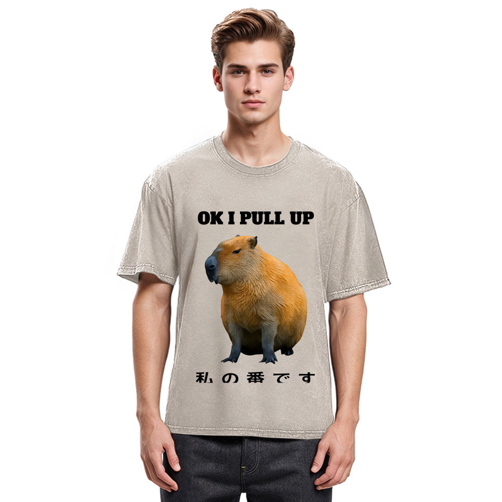 Tokyosol Ok I Pull Up Funny Capybara Washed T-Shirt