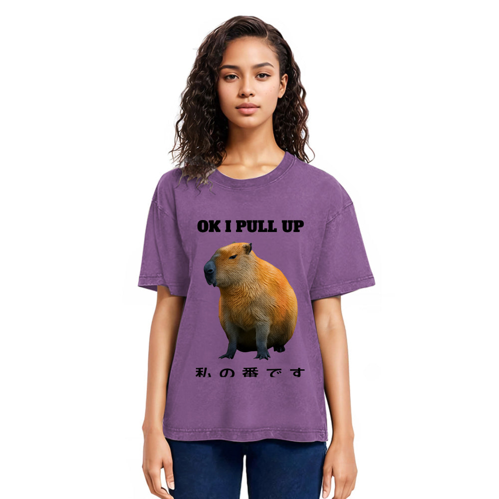 Tokyosol Ok I Pull Up Funny Capybara Washed T-Shirt