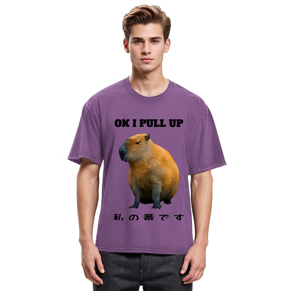 Tokyosol Ok I Pull Up Funny Capybara Washed T-Shirt