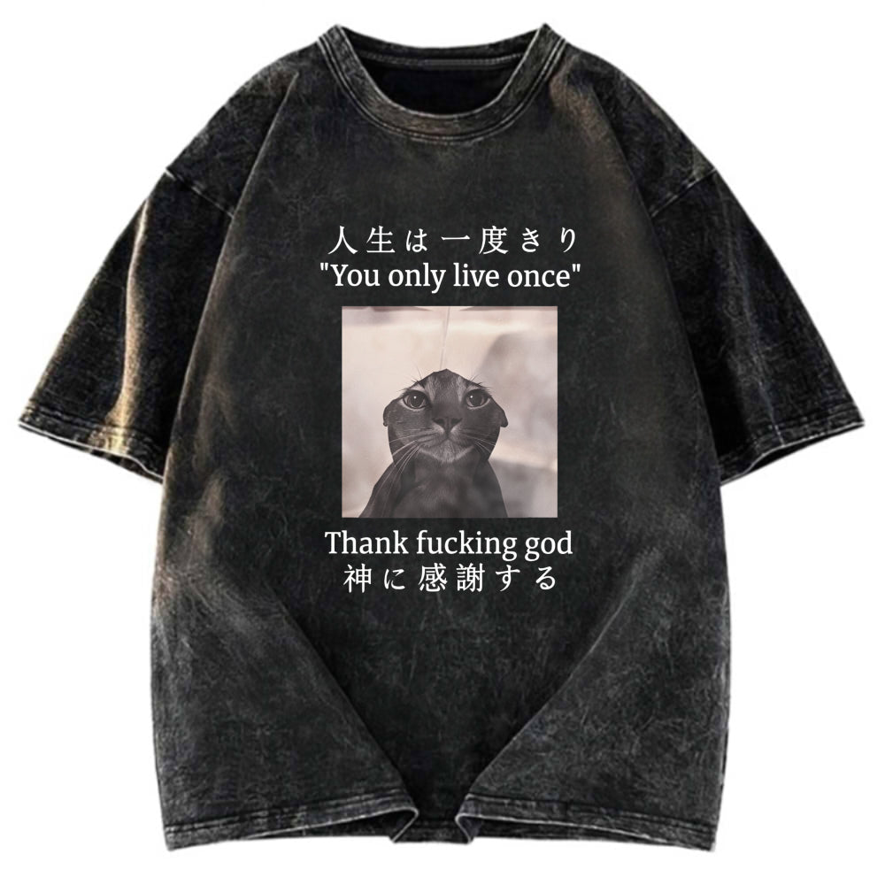 Tokyosol Funny Melancholy Cat Washed T-Shirt
