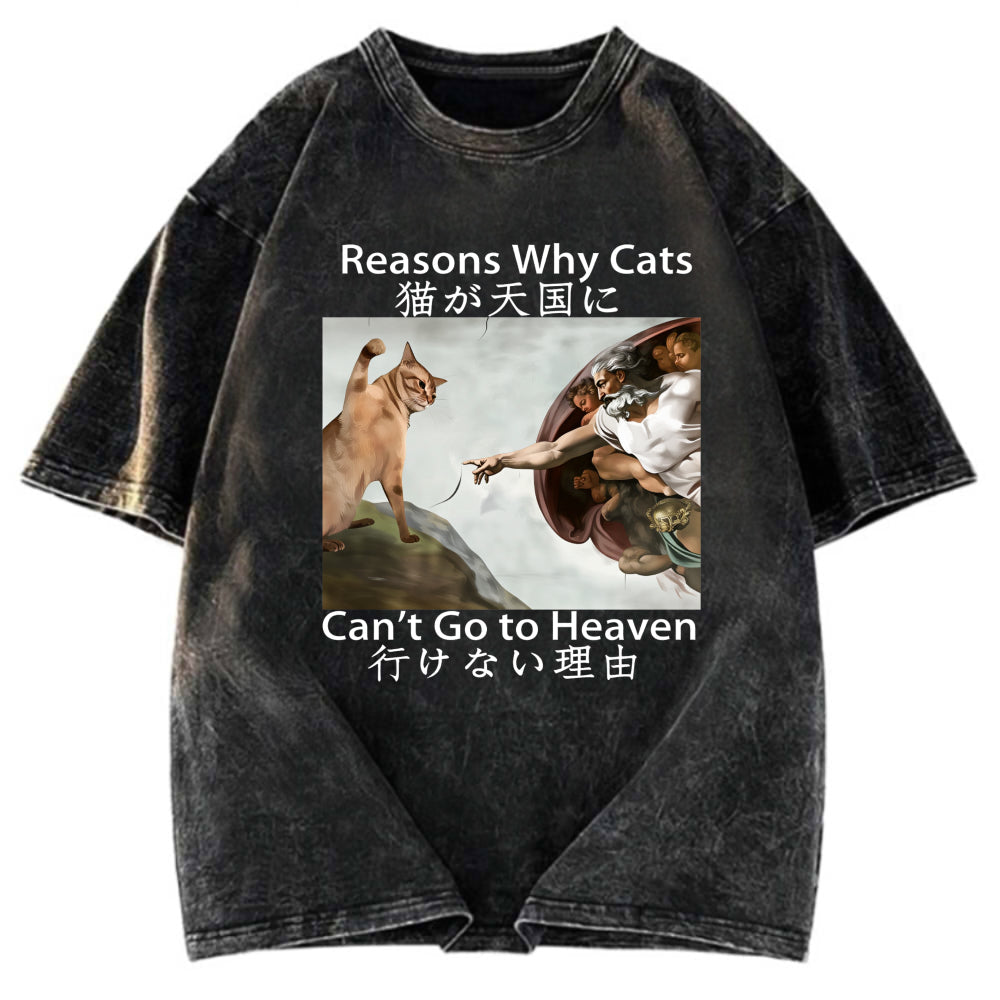 Tokyosol Naughty Cat Can't Go To Heaven Washed T-Shirt
