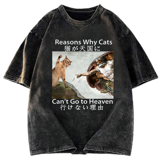 Tokyosol Naughty Cat Can't Go To Heaven Washed T-Shirt
