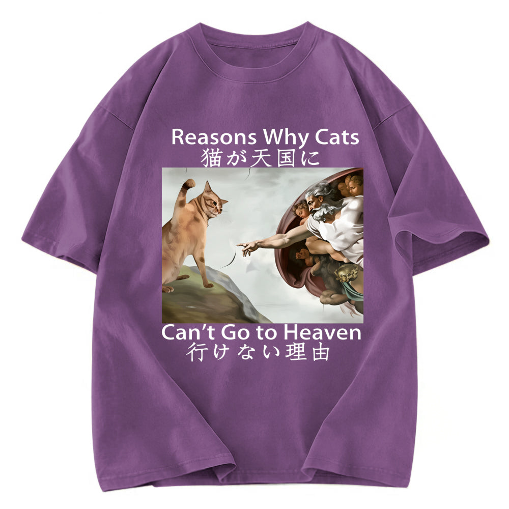 Tokyosol Naughty Cat Can't Go To Heaven Washed T-Shirt