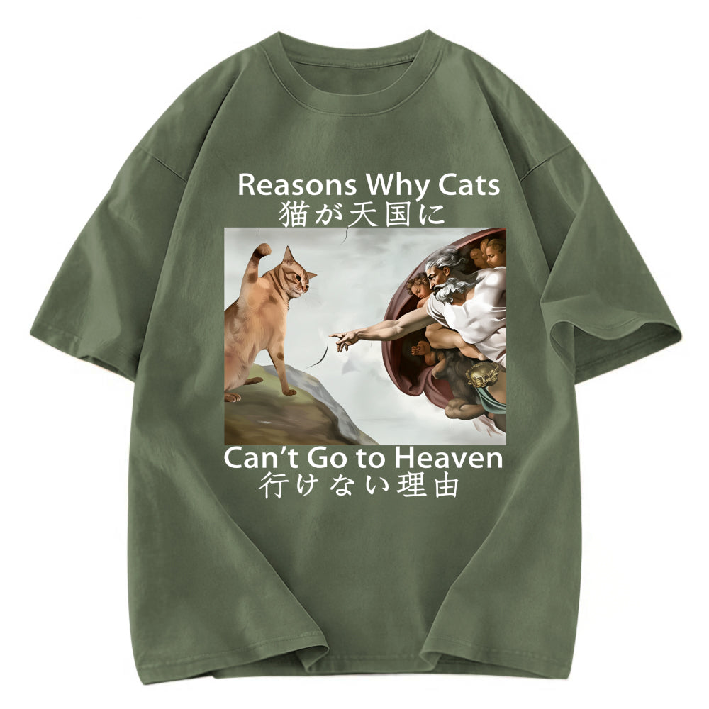 Tokyosol Naughty Cat Can't Go To Heaven Washed T-Shirt