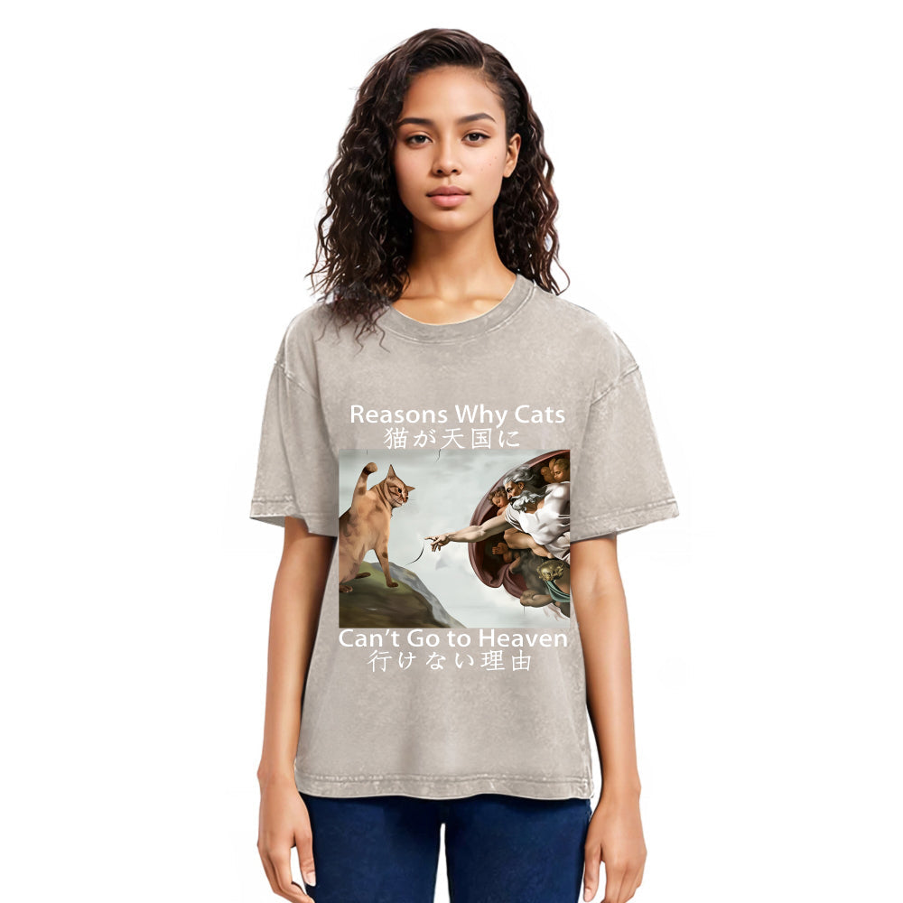 Tokyosol Naughty Cat Can't Go To Heaven Washed T-Shirt