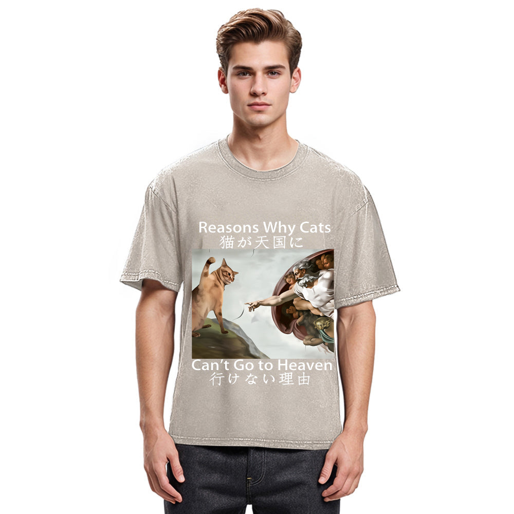 Tokyosol Naughty Cat Can't Go To Heaven Washed T-Shirt