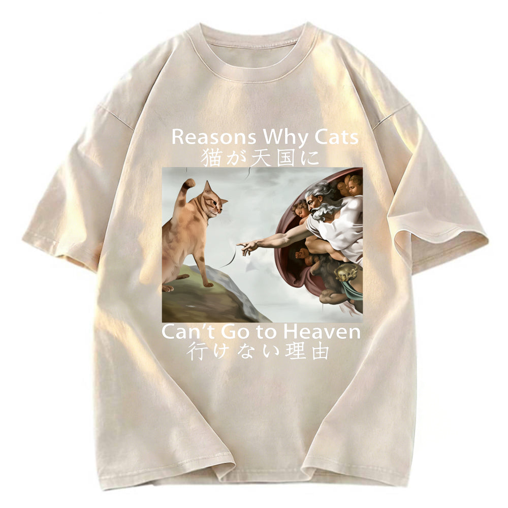 Tokyosol Naughty Cat Can't Go To Heaven Washed T-Shirt