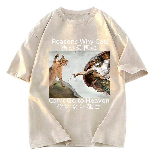 Tokyosol Naughty Cat Can't Go To Heaven Washed T-Shirt