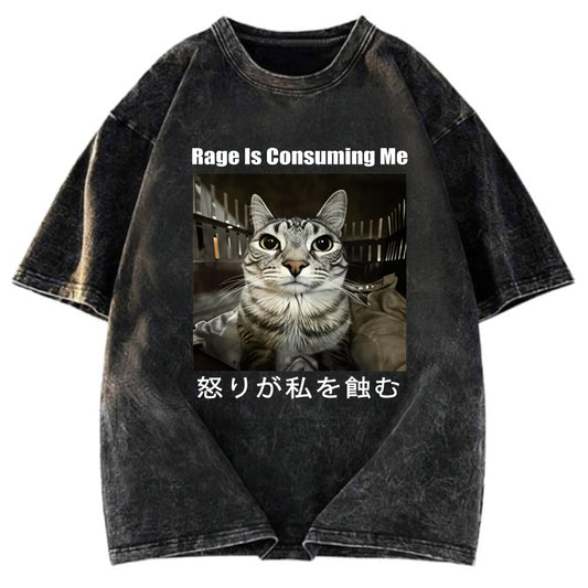 Tokyosol Rage Is Consuming Me Japan Washed T-Shirt