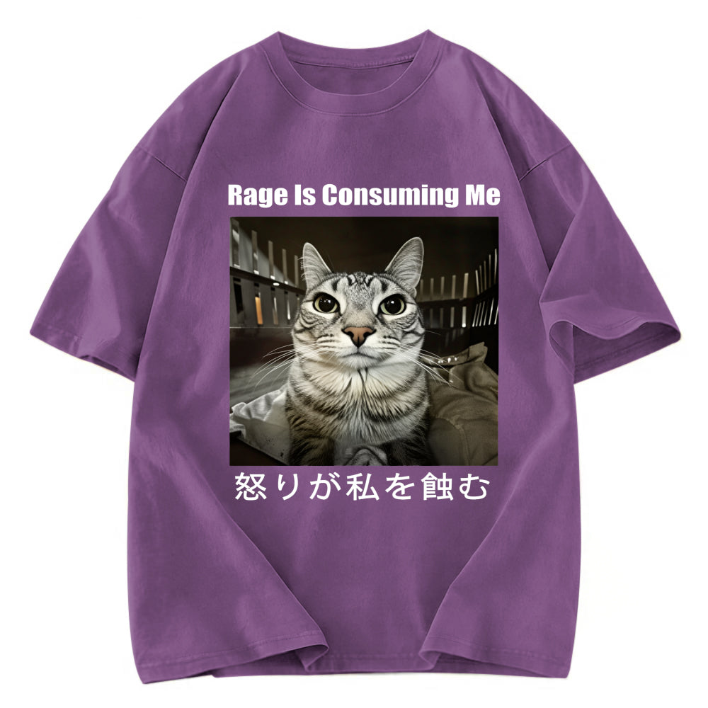 Tokyosol Rage Is Consuming Me Japan Washed T-Shirt