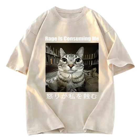 Tokyosol Rage Is Consuming Me Japan Washed T-Shirt