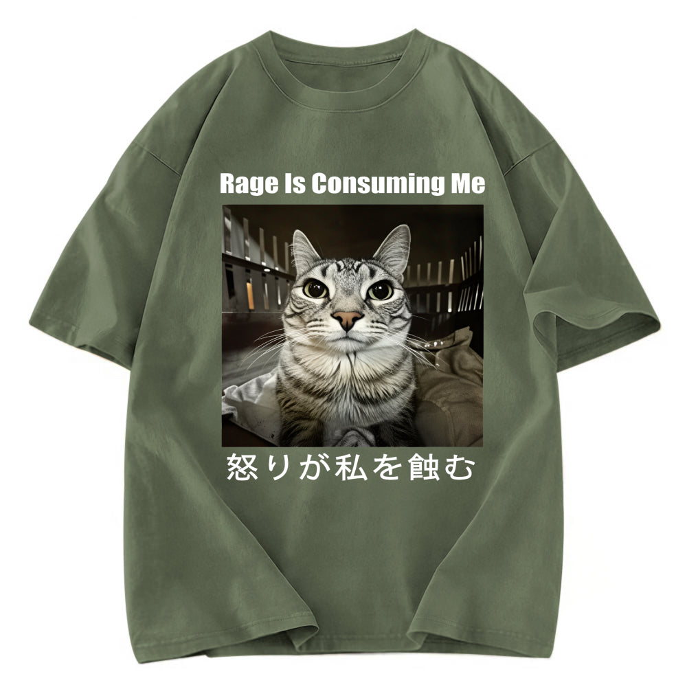 Tokyosol Rage Is Consuming Me Japan Washed T-Shirt