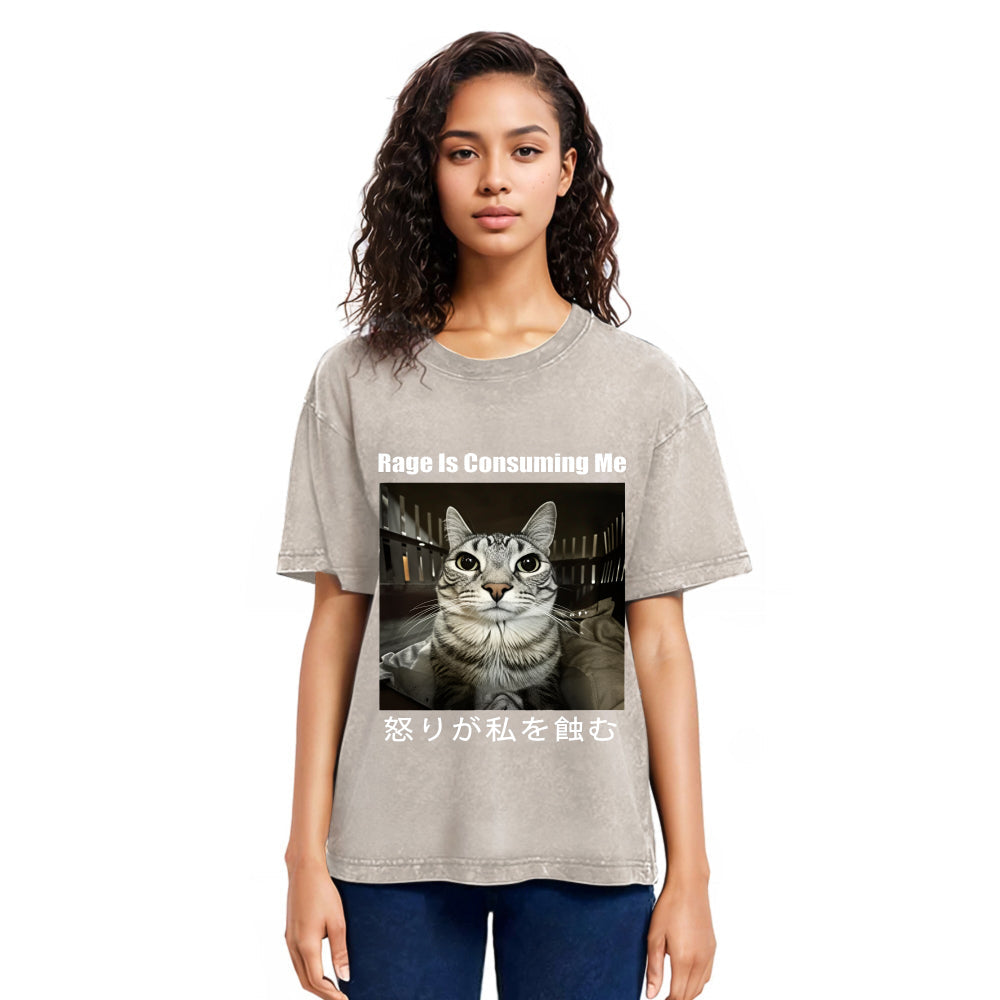 Tokyosol Rage Is Consuming Me Japan Washed T-Shirt
