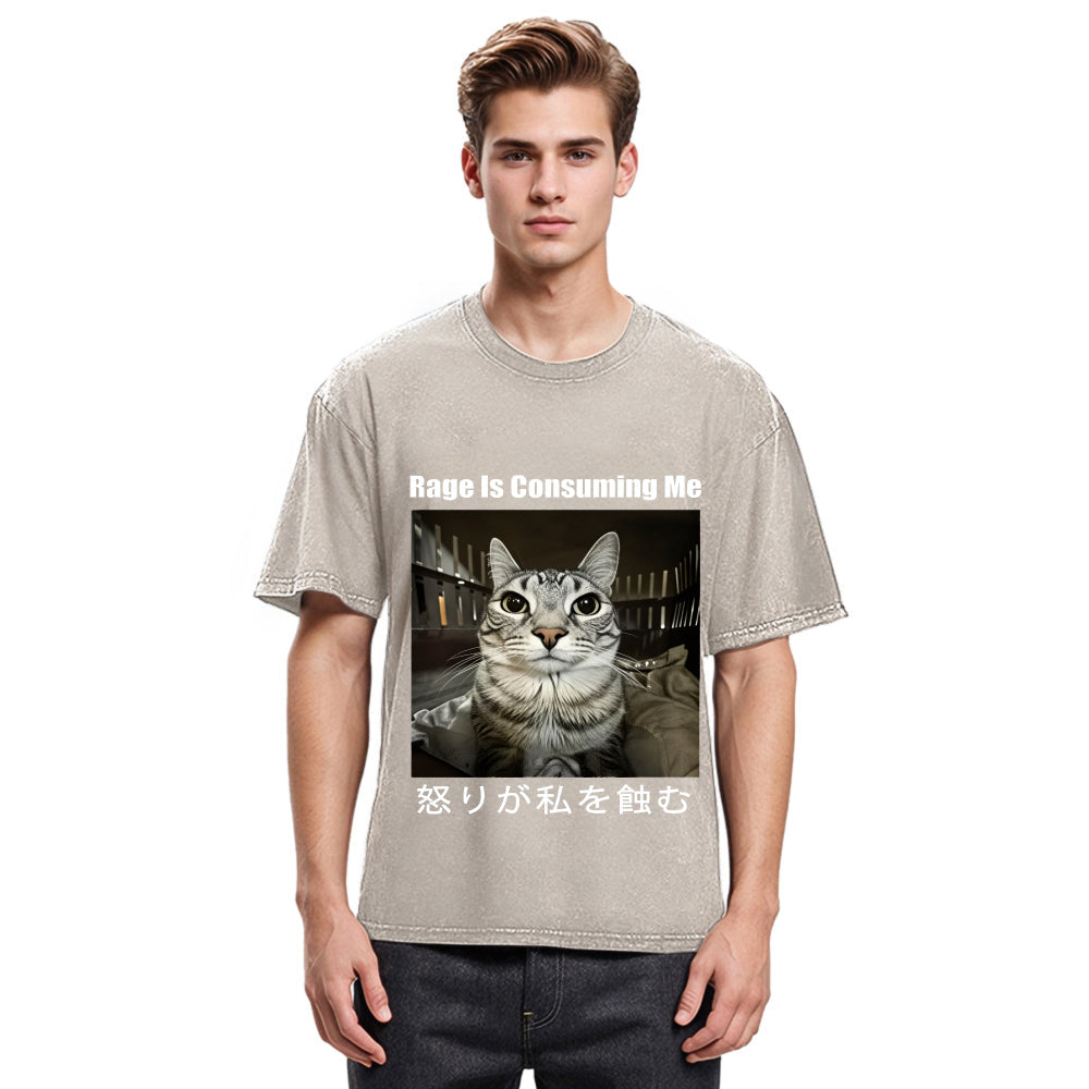 Tokyosol Rage Is Consuming Me Japan Washed T-Shirt