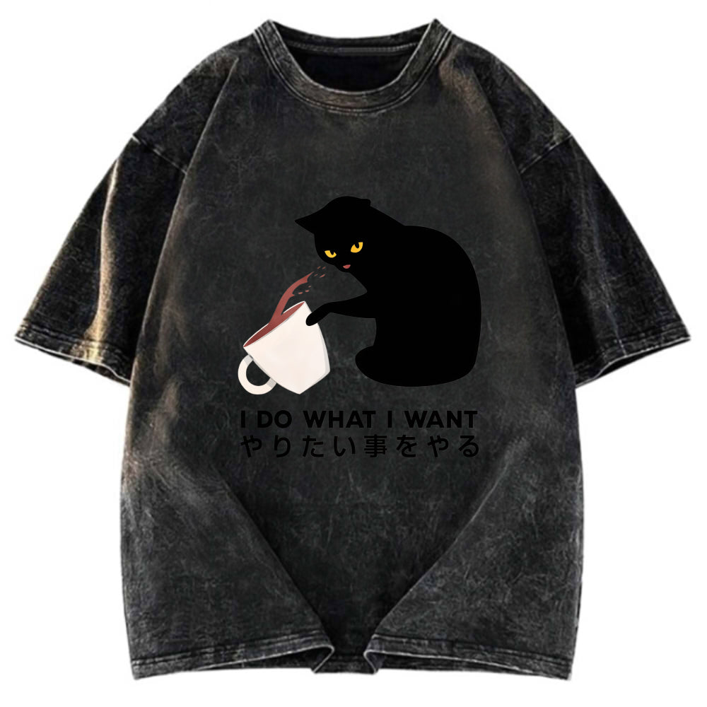 Tokyosol Tsundere Cat Funny Washed T-Shirt