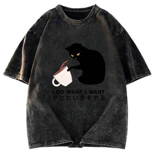 Tokyosol Tsundere Cat Funny Washed T-Shirt