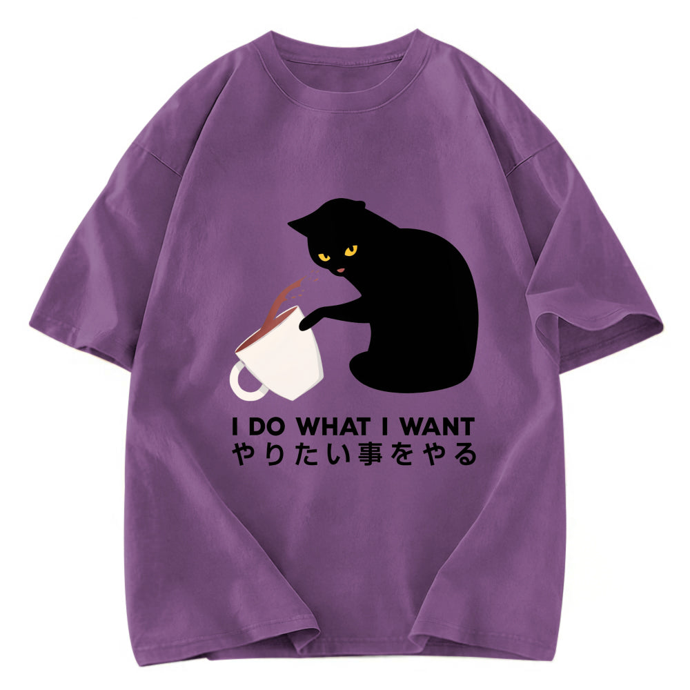Tokyosol Tsundere Cat Funny Washed T-Shirt