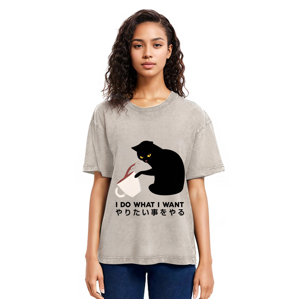 Tokyosol Tsundere Cat Funny Washed T-Shirt