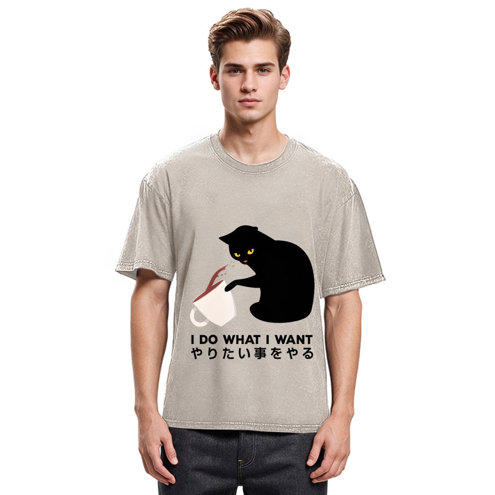 Tokyosol Tsundere Cat Funny Washed T-Shirt