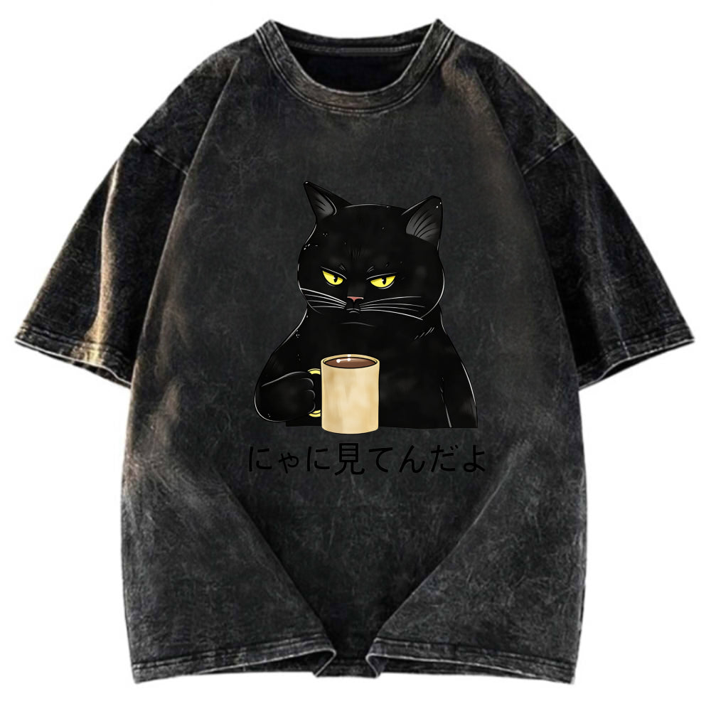 Tokyosol Grim Cat Is Watching You Washed T-Shirt